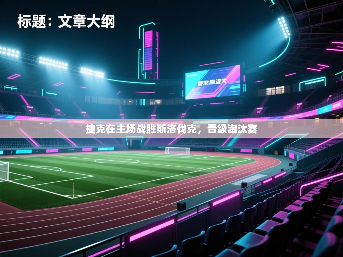 捷克在主场战胜斯洛伐克，晋级淘汰赛  第2张