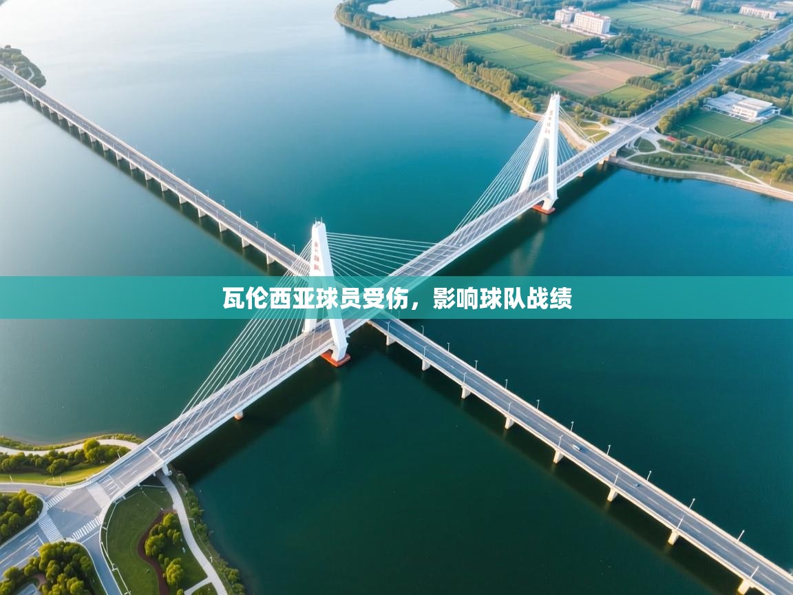 瓦伦西亚球员受伤，影响球队战绩  第2张