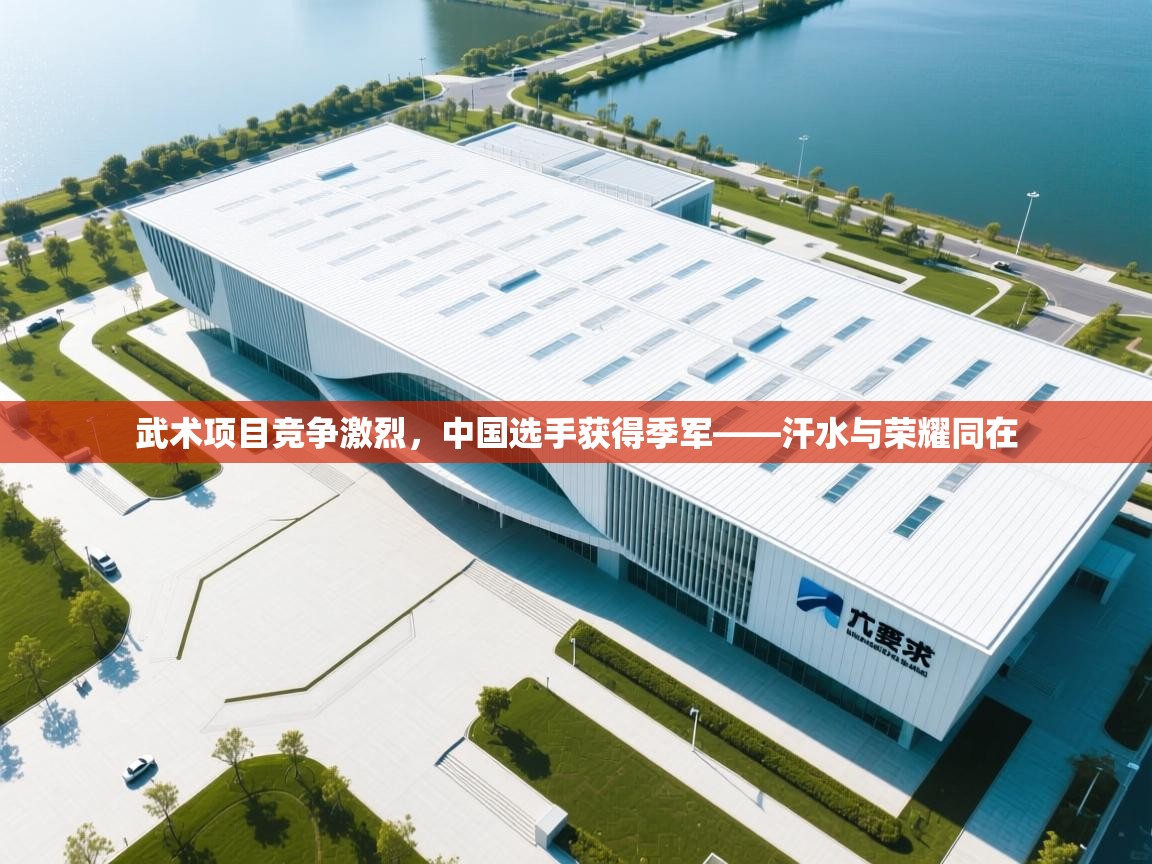 武术项目竞争激烈，中国选手获得季军——汗水与荣耀同在