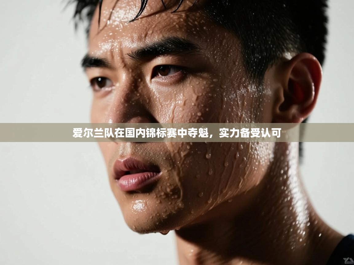 爱尔兰队在国内锦标赛中夺魁，实力备受认可